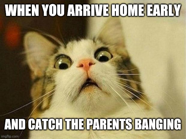 Scared Cat Meme | WHEN YOU ARRIVE HOME EARLY; AND CATCH THE PARENTS BANGING | image tagged in memes,scared cat | made w/ Imgflip meme maker