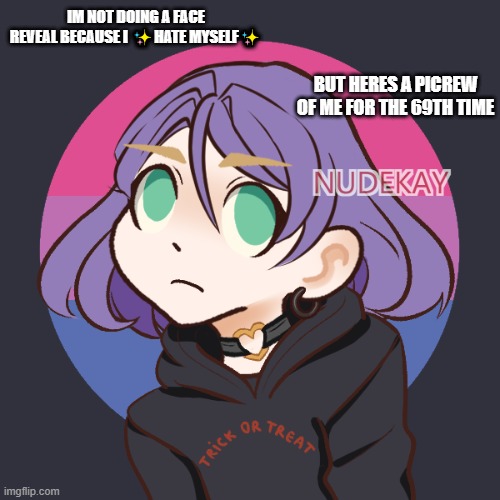 IM NOT DOING A FACE REVEAL BECAUSE I ✨HATE MYSELF✨; BUT HERES A PICREW OF ME FOR THE 69TH TIME | made w/ Imgflip meme maker
