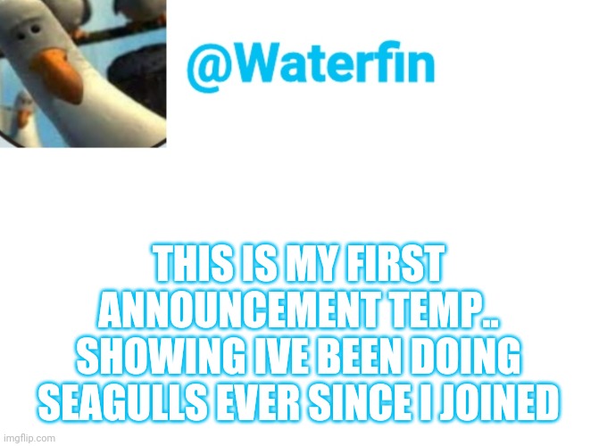 Waterfin Template | THIS IS MY FIRST ANNOUNCEMENT TEMP.. SHOWING IVE BEEN DOING SEAGULLS EVER SINCE I JOINED | image tagged in waterfin template | made w/ Imgflip meme maker