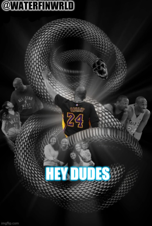 lol | HEY DUDES | image tagged in waterfinwrld darkmode | made w/ Imgflip meme maker