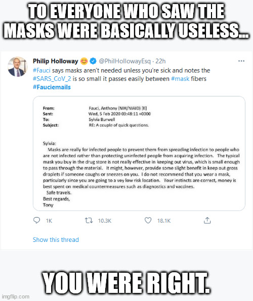 TO EVERYONE WHO SAW THE MASKS WERE BASICALLY USELESS... YOU WERE RIGHT. | image tagged in dr fauci,fauci,fauciemails,masks,facemask,conservatives | made w/ Imgflip meme maker