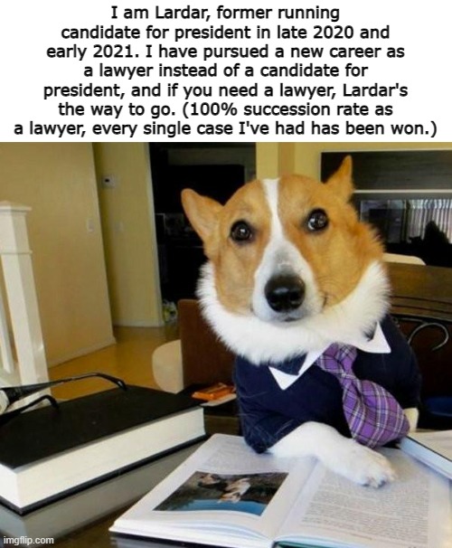 Lardar for lawyer! :D | I am Lardar, former running candidate for president in late 2020 and early 2021. I have pursued a new career as a lawyer instead of a candidate for president, and if you need a lawyer, Lardar's the way to go. (100% succession rate as a lawyer, every single case I've had has been won.) | image tagged in lawyer corgi dog,law,lawyer,lawyers | made w/ Imgflip meme maker