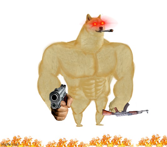 doge will destroy you | image tagged in doge,will,destroy,you | made w/ Imgflip meme maker