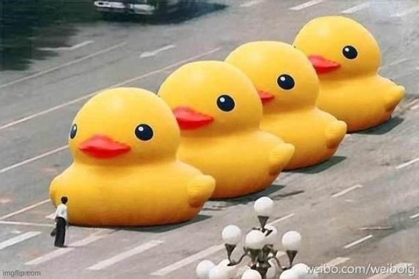 Ducks Tiananmen Square | image tagged in ducks tiananmen square | made w/ Imgflip meme maker