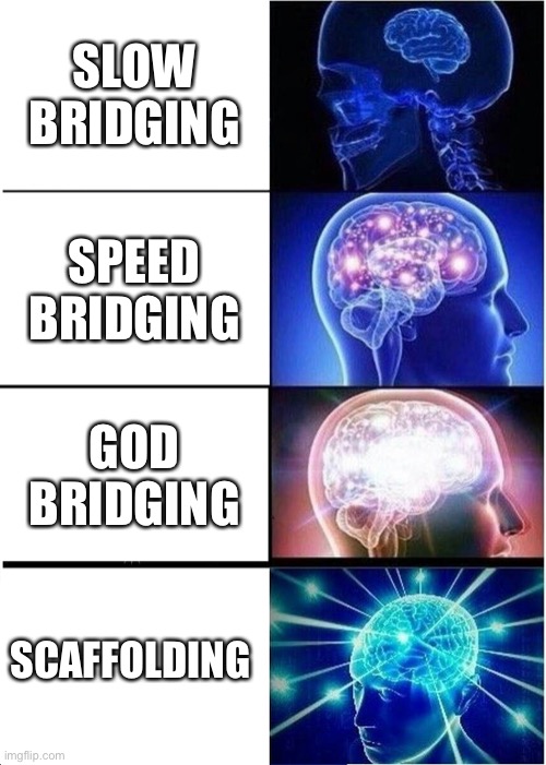 Expanding Brain Meme | SLOW BRIDGING; SPEED BRIDGING; GOD BRIDGING; SCAFFOLDING | image tagged in memes,expanding brain | made w/ Imgflip meme maker
