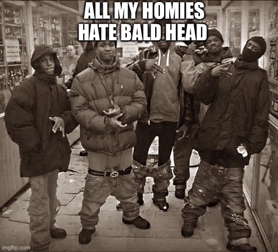 All My Homies Hate | ALL MY HOMIES HATE BALD HEAD | image tagged in all my homies hate | made w/ Imgflip meme maker