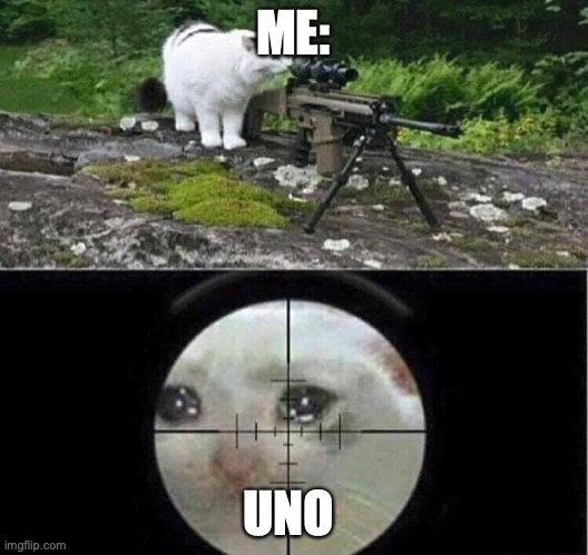 I SHOT HIM | ME:; UNO | image tagged in sniper cat | made w/ Imgflip meme maker
