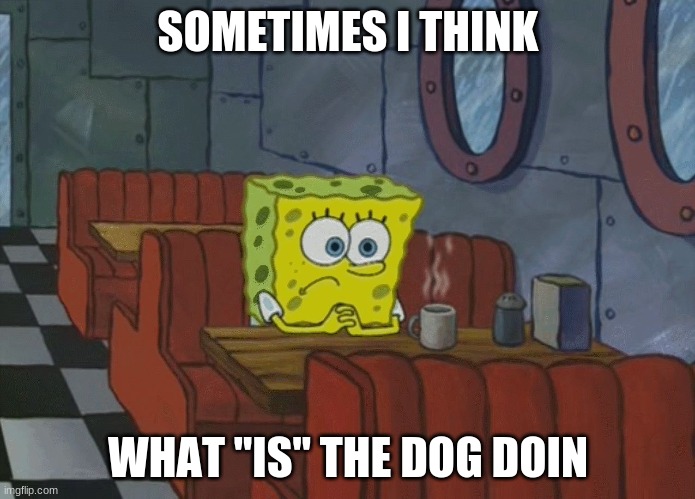 Spongebob Thinking | SOMETIMES I THINK; WHAT "IS" THE DOG DOIN | image tagged in spongebob thinking | made w/ Imgflip meme maker
