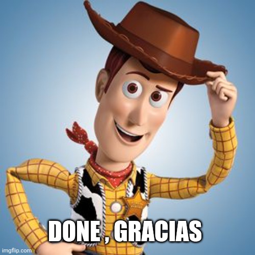 Woody tip hat frowny | DONE , GRACIAS | image tagged in woody tip hat frowny | made w/ Imgflip meme maker