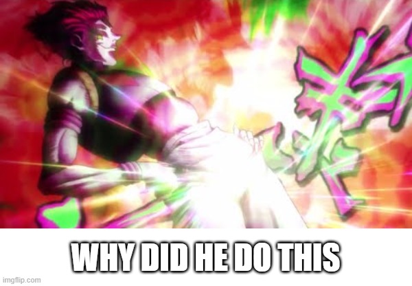 just why | WHY DID HE DO THIS | image tagged in hunter x hunter | made w/ Imgflip meme maker