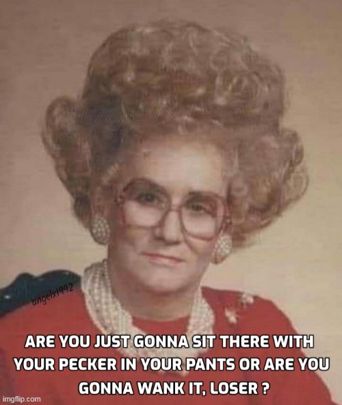 image tagged in old lady,judging you,seducer,wanker,pecker,loser | made w/ Imgflip meme maker