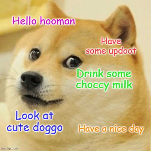 Doggo says have a nice day | Hello hooman; Have some updoot; Drink some choccy milk; Look at cute doggo; Have a nice day | image tagged in memes,doge | made w/ Imgflip meme maker