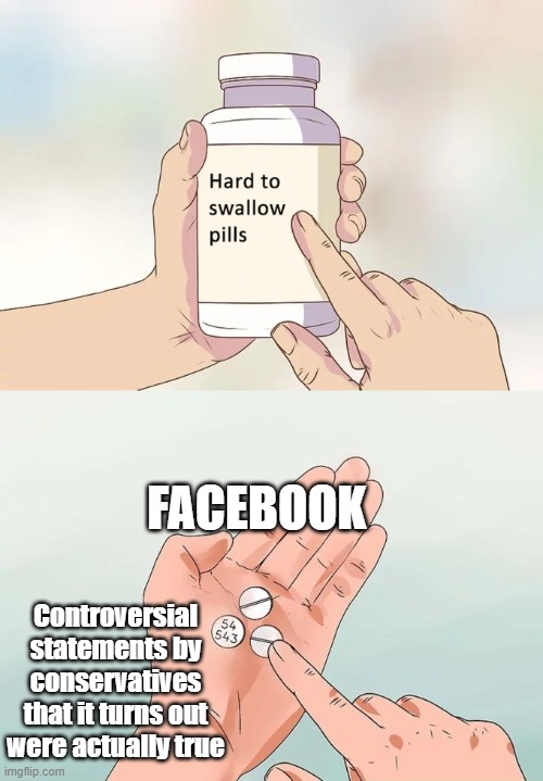 Facebook sucking up to liberals | FACEBOOK; Controversial statements by conservatives that it turns out were actually true | image tagged in memes,hard to swallow pills | made w/ Imgflip meme maker