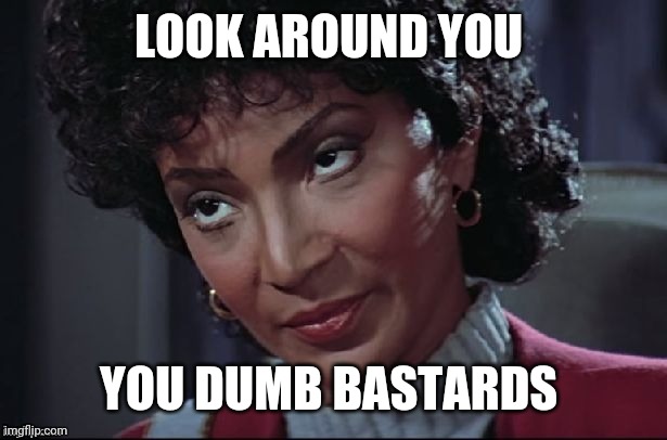 Uhura not amused | LOOK AROUND YOU YOU DUMB BASTARDS | image tagged in uhura not amused | made w/ Imgflip meme maker