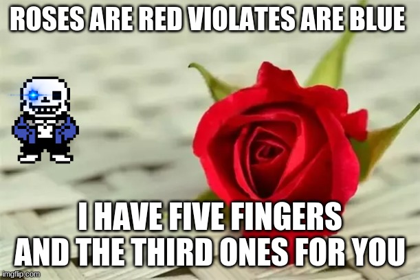 your welcome | ROSES ARE RED VIOLATES ARE BLUE; I HAVE FIVE FINGERS AND THE THIRD ONES FOR YOU | image tagged in word play | made w/ Imgflip meme maker