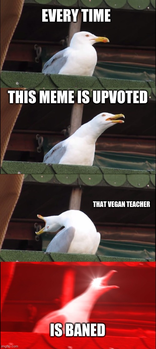 That VEGAN TEACHEf#R | EVERY TIME; THIS MEME IS UPVOTED; THAT VEGAN TEACHER; IS BANED | image tagged in memes,inhaling seagull | made w/ Imgflip meme maker