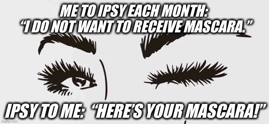 It be like that! | ME TO IPSY EACH MONTH: 
“I DO NOT WANT TO RECEIVE MASCARA.”; IPSY TO ME:  “HERE’S YOUR MASCARA!” | image tagged in makeup,the struggle is real | made w/ Imgflip meme maker