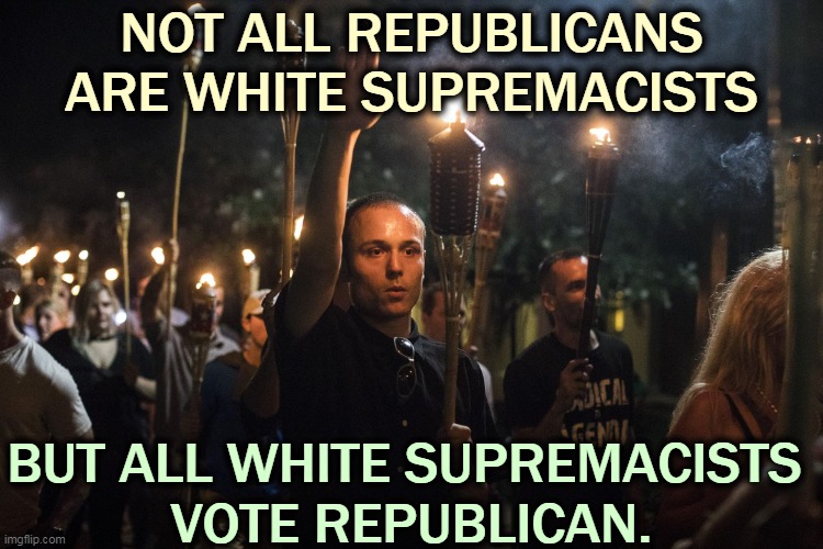 The Number One source of terrorist violence in America. | NOT ALL REPUBLICANS ARE WHITE SUPREMACISTS; BUT ALL WHITE SUPREMACISTS 
VOTE REPUBLICAN. | image tagged in nazis charlottesville trump,terrorist,violence,white supremacists | made w/ Imgflip meme maker