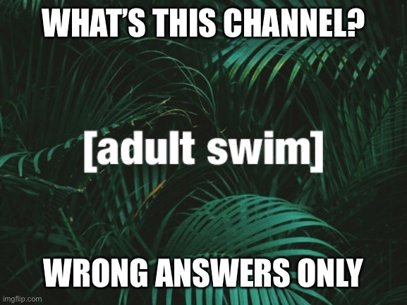 WHAT’S THIS CHANNEL? WRONG ANSWERS ONLY | made w/ Imgflip meme maker