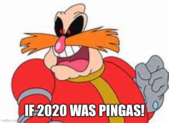 PINGAS | IF 2020 WAS PINGAS! | image tagged in pingas | made w/ Imgflip meme maker