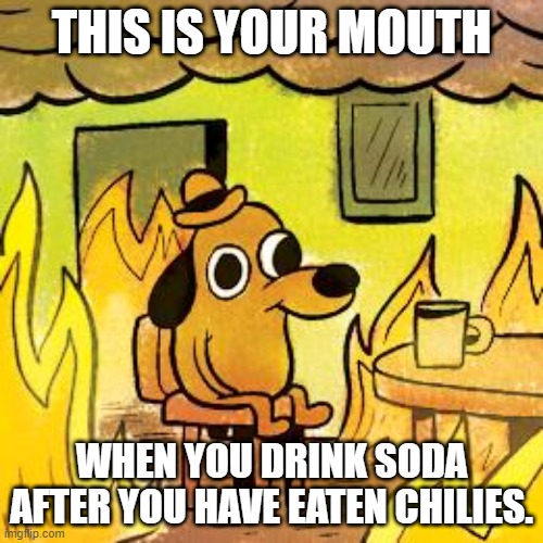 Dog in burning house | THIS IS YOUR MOUTH; WHEN YOU DRINK SODA AFTER YOU HAVE EATEN CHILIES. | image tagged in dog in burning house | made w/ Imgflip meme maker