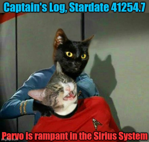 Vulcan Cat Pinch | Captain's Log, Stardate 41254.7; Parvo is rampant in the Sirius System | image tagged in vulcan cat pinch | made w/ Imgflip meme maker