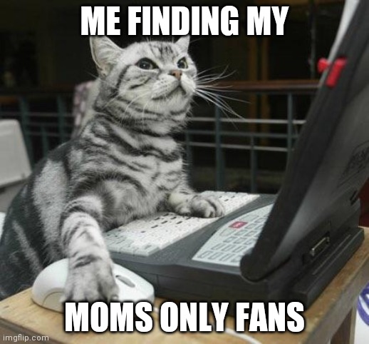 Coding Cat | ME FINDING MY; MOMS ONLY FANS | image tagged in coding cat | made w/ Imgflip meme maker
