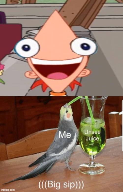 Front Facing Phineas | image tagged in unsee juice,front facing phineas,phineas and ferb | made w/ Imgflip meme maker