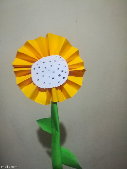 I made a sunflower :D | image tagged in sunflower,photos | made w/ Imgflip meme maker