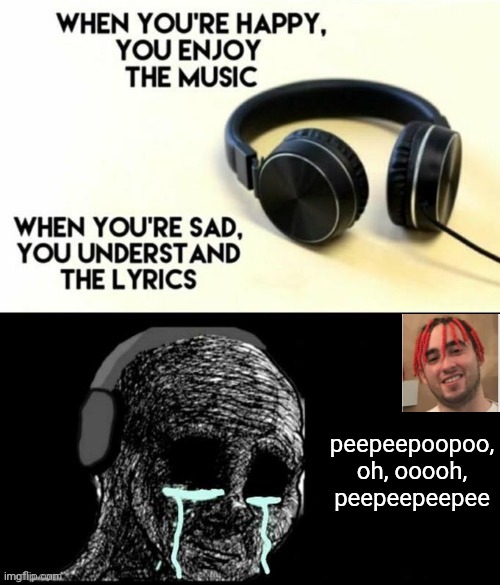 Peepeepoopoo check |  peepeepoopoo, oh, ooooh, peepeepeepee | image tagged in when your sad you understand the lyrics | made w/ Imgflip meme maker
