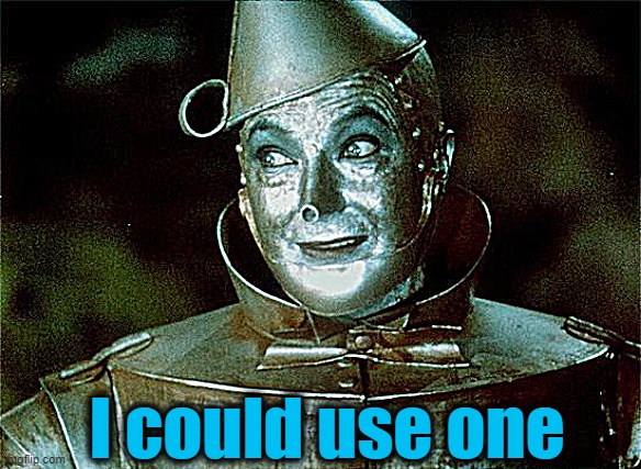 Tin Man Just Sayin' | I could use one | image tagged in tin man just sayin' | made w/ Imgflip meme maker