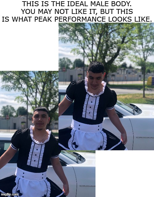 Peak performance | THIS IS THE IDEAL MALE BODY. YOU MAY NOT LIKE IT, BUT THIS IS WHAT PEAK PERFORMANCE LOOKS LIKE. | image tagged in blank white template | made w/ Imgflip meme maker