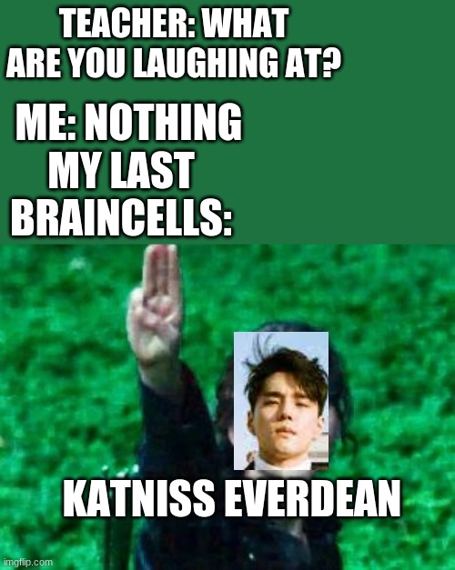 look him up omg XD | TEACHER: WHAT ARE YOU LAUGHING AT? ME: NOTHING; MY LAST BRAINCELLS:; KATNISS EVERDEAN | image tagged in katniss salute | made w/ Imgflip meme maker