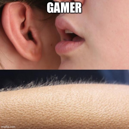 Me when multimillion companies say that word: | GAMER | image tagged in whisper and goosebumps | made w/ Imgflip meme maker