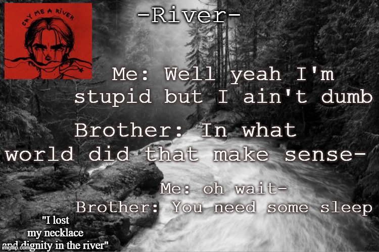 Me: Well yeah I'm stupid but I ain't dumb; Brother: In what world did that make sense-; Me: oh wait-
Brother: You need some sleep | made w/ Imgflip meme maker