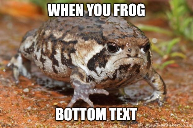 Grumpy Toad | WHEN YOU FROG; BOTTOM TEXT | image tagged in memes,grumpy toad | made w/ Imgflip meme maker
