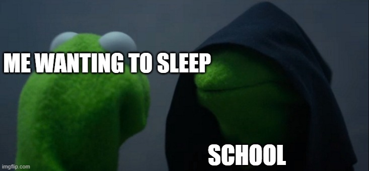 :( | ME WANTING TO SLEEP; SCHOOL | image tagged in memes,evil kermit | made w/ Imgflip meme maker