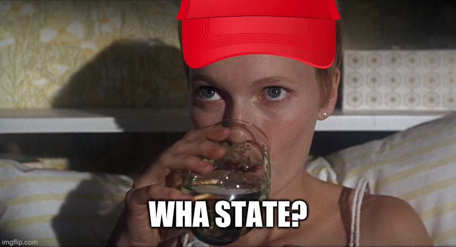 Rosemary | WHA STATE? | image tagged in rosemary | made w/ Imgflip meme maker