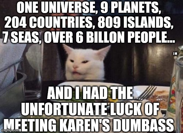 Salad cat | ONE UNIVERSE, 9 PLANETS, 204 COUNTRIES, 809 ISLANDS, 7 SEAS, OVER 6 BILLON PEOPLE... J M; AND I HAD THE UNFORTUNATE LUCK OF MEETING KAREN'S DUMBASS | image tagged in salad cat | made w/ Imgflip meme maker