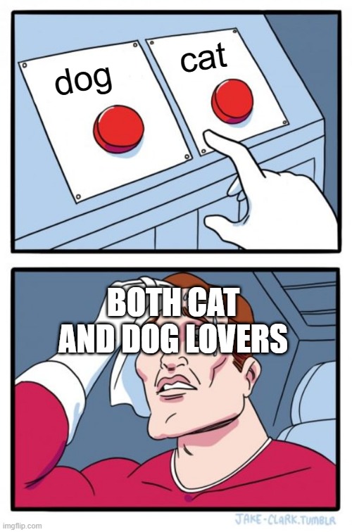 Two Buttons | cat; dog; BOTH CAT AND DOG LOVERS | image tagged in memes,two buttons | made w/ Imgflip meme maker