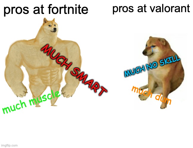 fornite vs valorant | pros at fortnite; pros at valorant; MUCH NO SKILL; MUCH SMART; much dum; much muscle | image tagged in memes,buff doge vs cheems | made w/ Imgflip meme maker