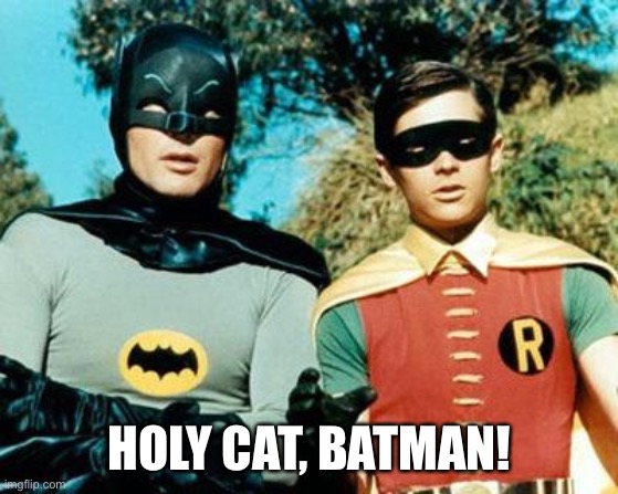 Batman and Robin | HOLY CAT, BATMAN! | image tagged in batman and robin | made w/ Imgflip meme maker