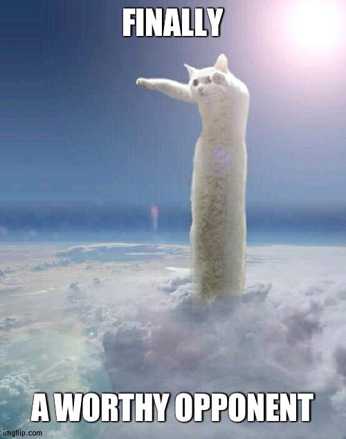 Longcat Apocalypse | FINALLY A WORTHY OPPONENT | image tagged in longcat apocalypse | made w/ Imgflip meme maker