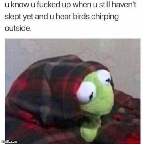 Does like anyone else feel that feeling of dread when the birds start chirping? | made w/ Imgflip meme maker