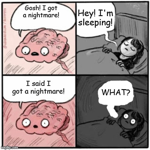 What happened to the brain?! | Hey! I'm sleeping! Gosh! I got a nightmare! I said I got a nightmare! WHAT? | image tagged in brain before sleep | made w/ Imgflip meme maker