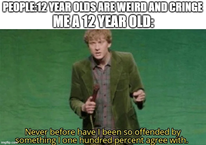I am weird | ME A 12 YEAR OLD:; PEOPLE:12 YEAR OLDS ARE WEIRD AND CRINGE | image tagged in never have i been so offended | made w/ Imgflip meme maker