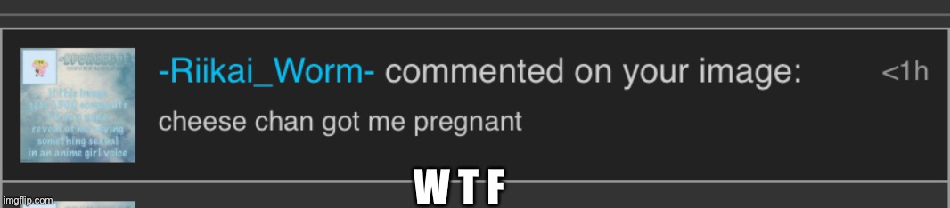 W T F | made w/ Imgflip meme maker
