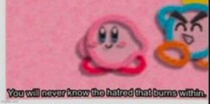 you have no idea of the hatred that burns within | image tagged in you have no idea of the hatred that burns within | made w/ Imgflip meme maker