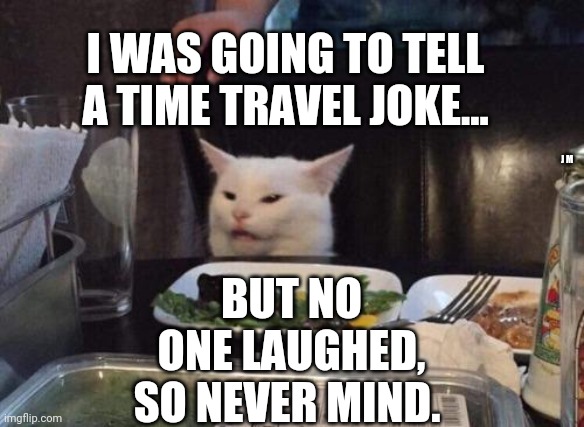 Salad cat | I WAS GOING TO TELL A TIME TRAVEL JOKE... BUT NO ONE LAUGHED, SO NEVER MIND. J M | image tagged in salad cat | made w/ Imgflip meme maker