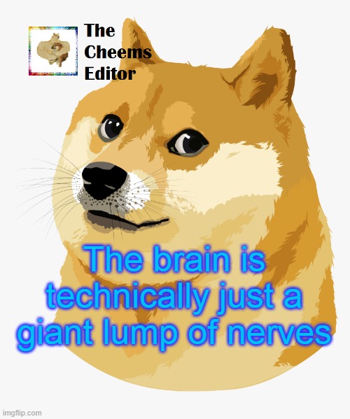 The brain is technically just a giant lump of nerves | image tagged in thecheemseditor announcement template | made w/ Imgflip meme maker